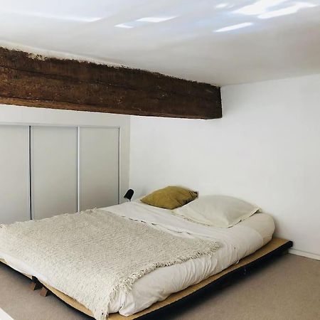 Appartement De Caractere Au Coeur Du Centre-Ville モンペリエ エクステリア 写真
