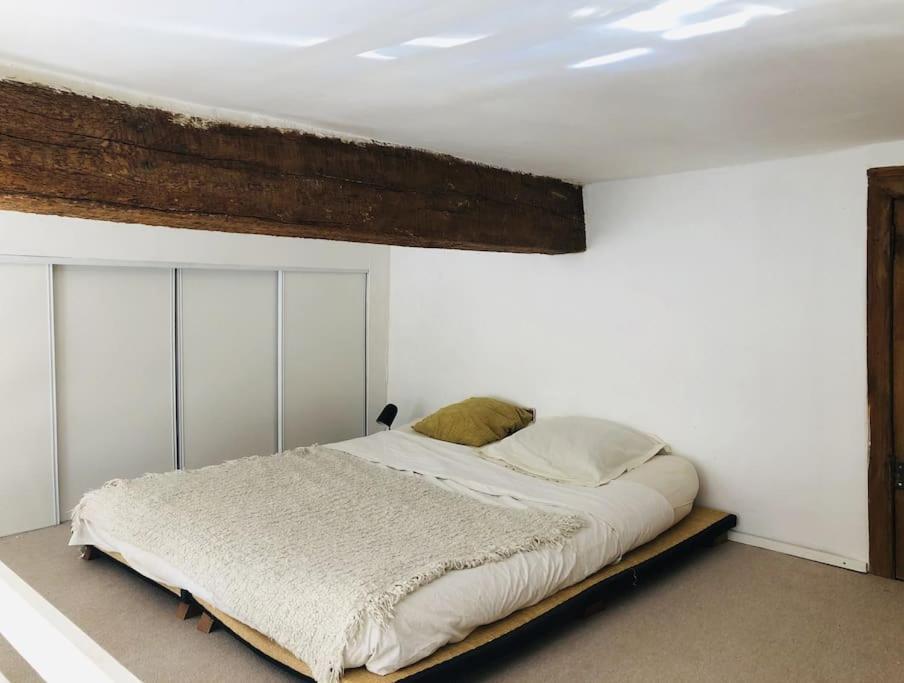 Appartement De Caractere Au Coeur Du Centre-Ville モンペリエ エクステリア 写真
